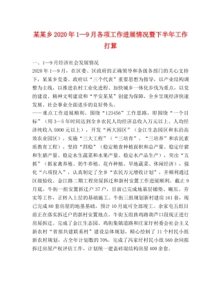 某某乡2024年1—9月各项工作进展情况暨下半年工作打算 