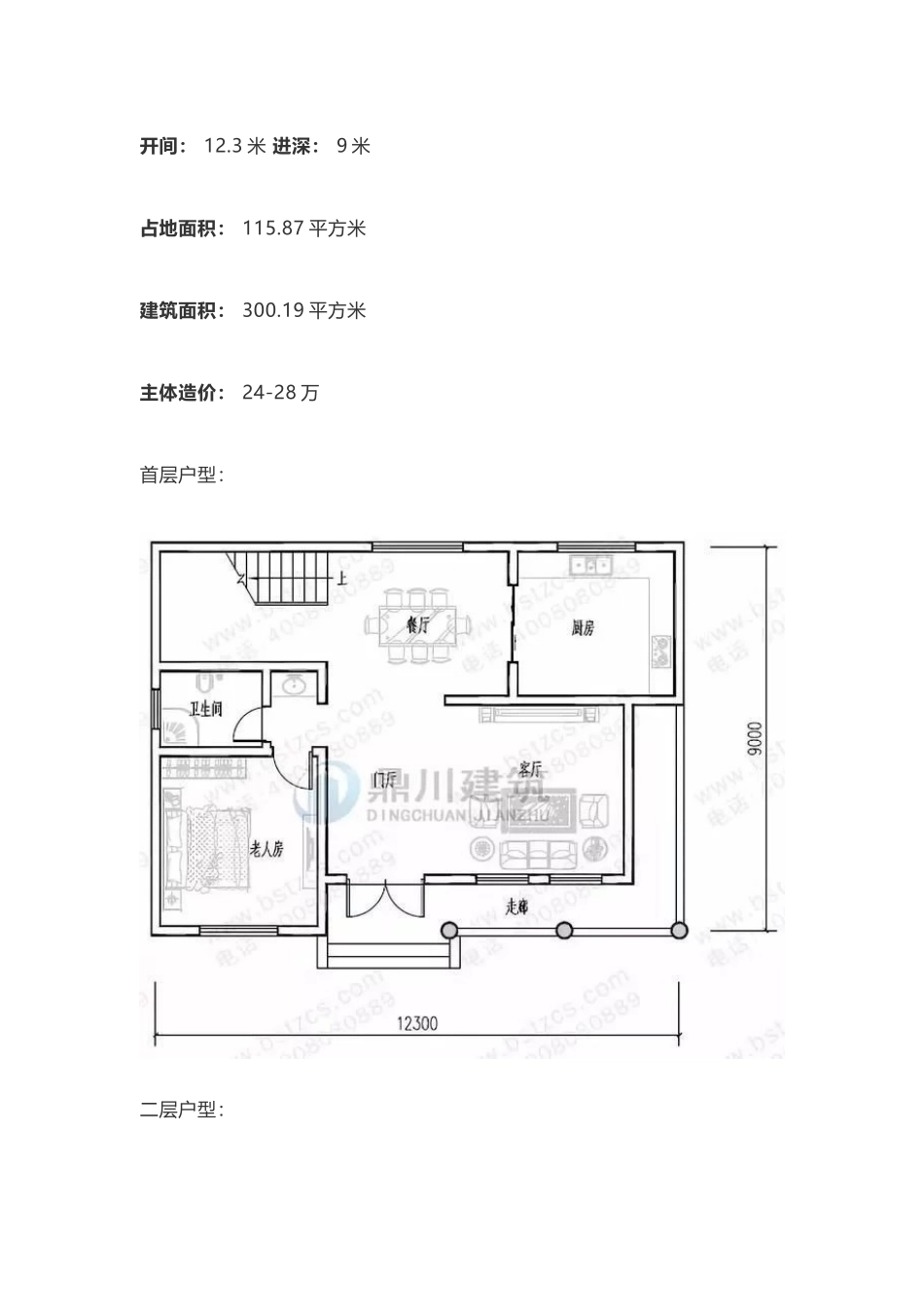 6套漂亮农村别墅户型设计_第2页
