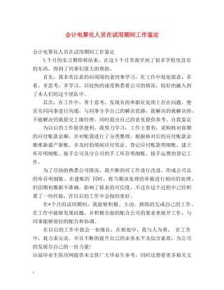 会计电算化人员在试用期间工作鉴定 