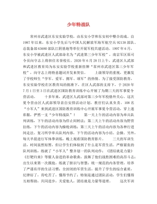 少年特战队 