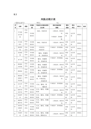 B.3风险点统计表