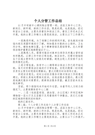 个人分管工作总结