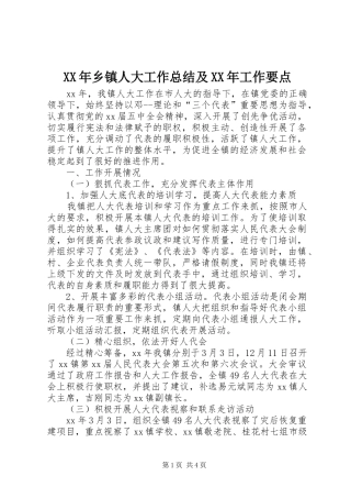 XX年乡镇人大工作总结及XX年工作要点