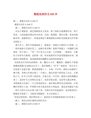 暑假见闻作文600字 