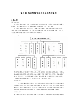 案例11--燕京啤酒-管理信息系统成功案例