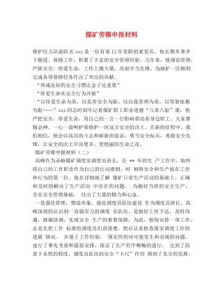煤矿劳模申报材料 