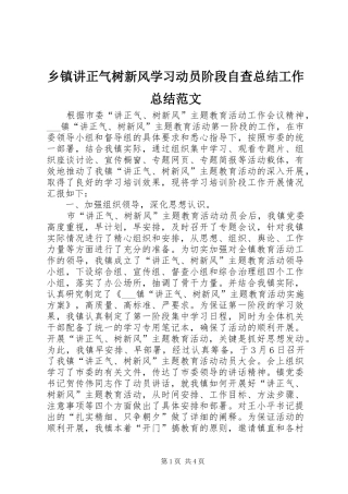 乡镇讲正气树新风学习动员阶段自查总结工作总结范文