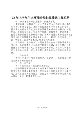 XX年上半年生态环境分局扫黑除恶工作总结