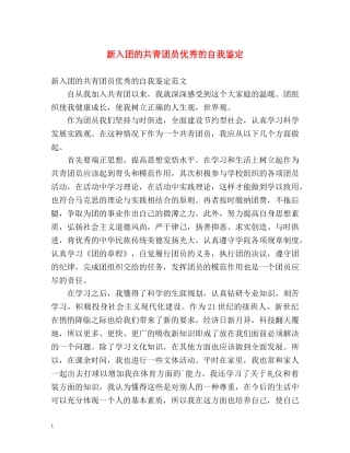 新入团的共青团员优秀的自我鉴定 