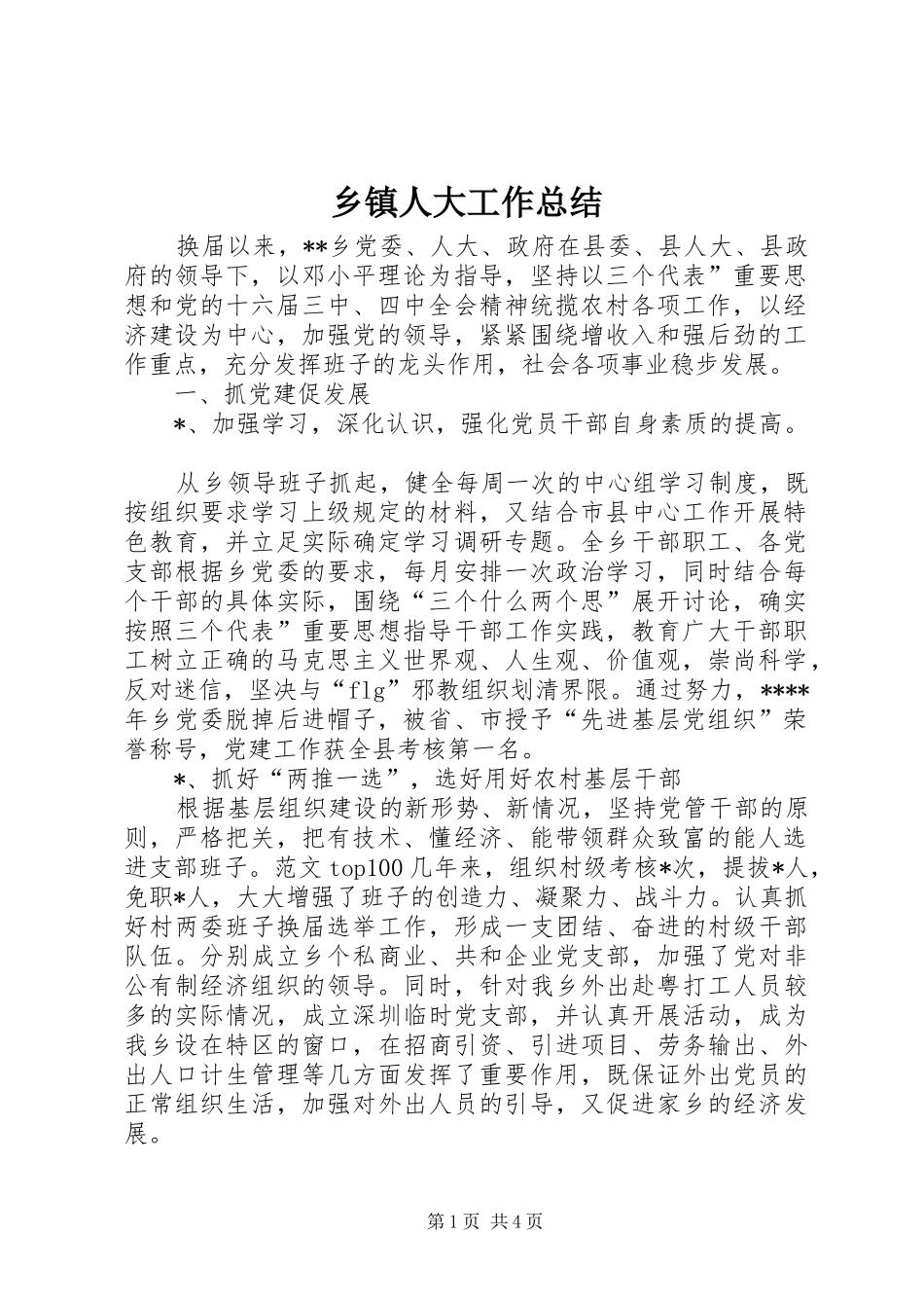 乡镇人大工作总结 (17)_第1页