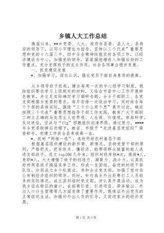 乡镇人大工作总结 (17)