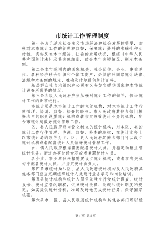 市统计工作管理制度