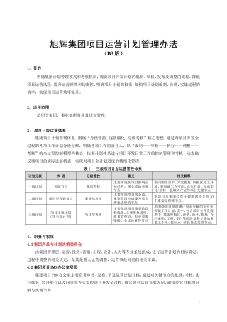 《项目运营计划管理办法B3》