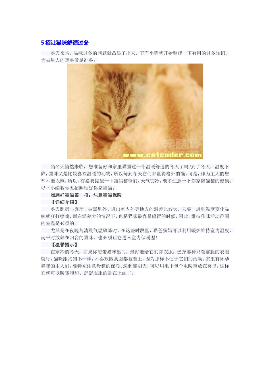 5招让猫咪舒适过冬_第1页