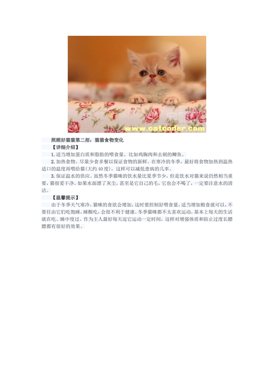 5招让猫咪舒适过冬_第2页