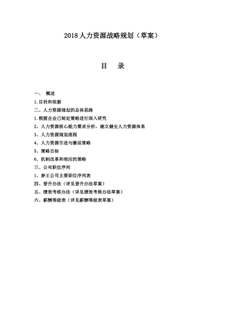 2018人力资源战略规划