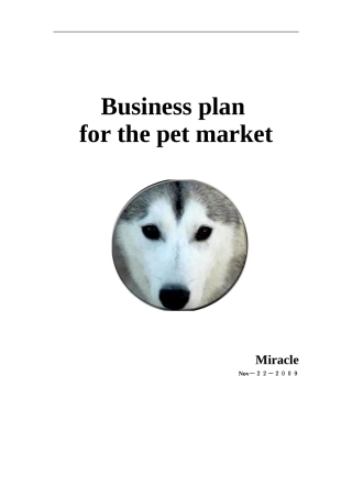 Business-plan英文版商业计划书
