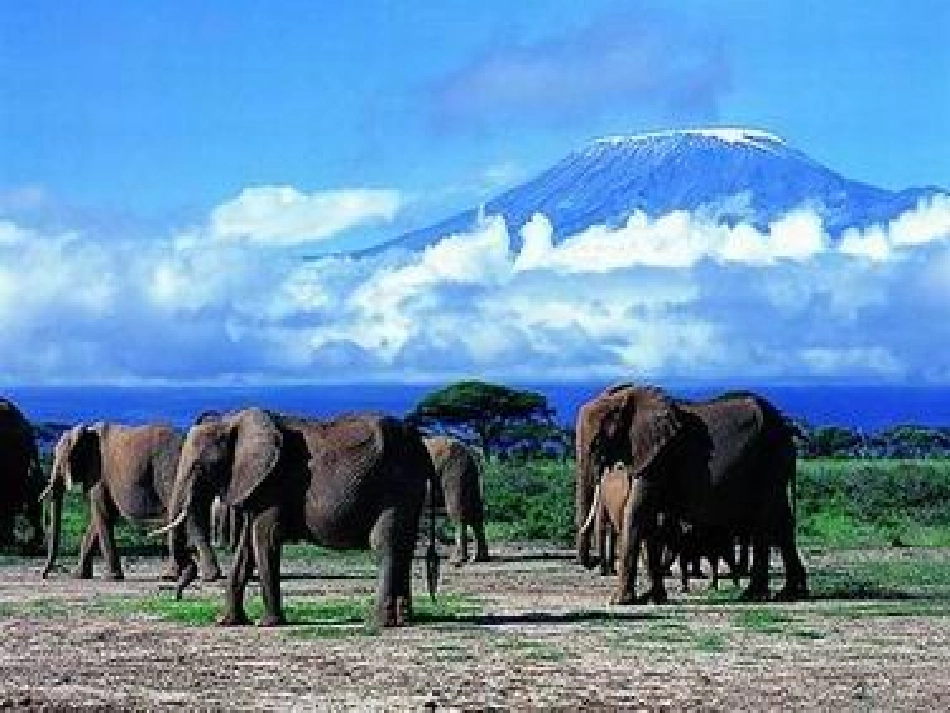 卖木雕的小少年_第2页