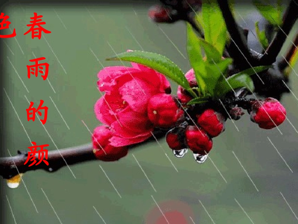 一年级语文下册《　春雨的颜色》PPT课件之三（教科版）_第3页