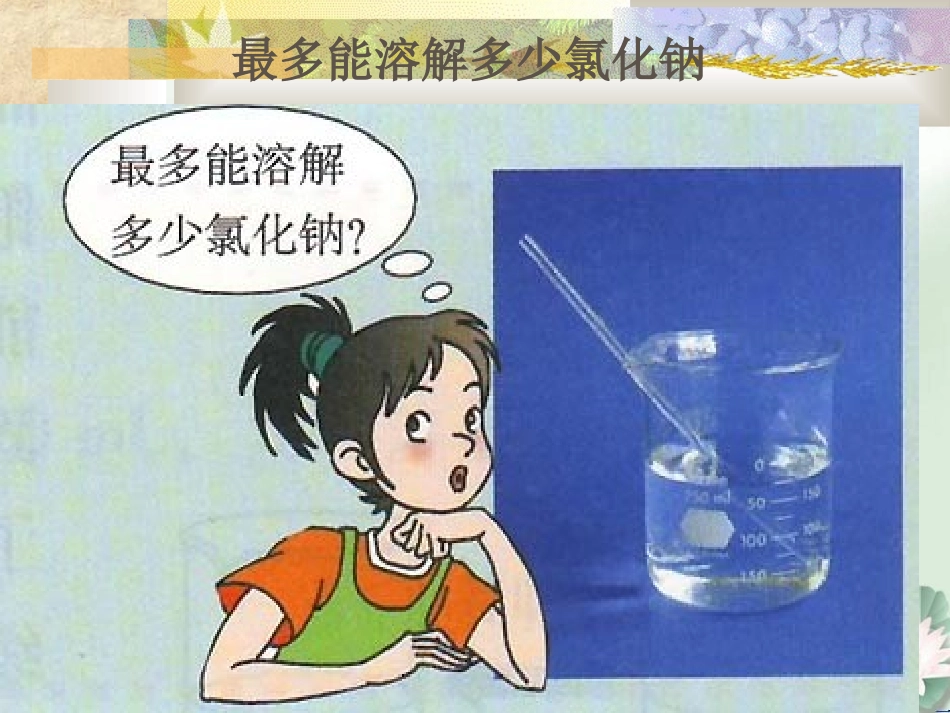 九年级化学下溶解度课件_第2页
