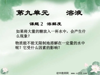 九年级化学下溶解度课件