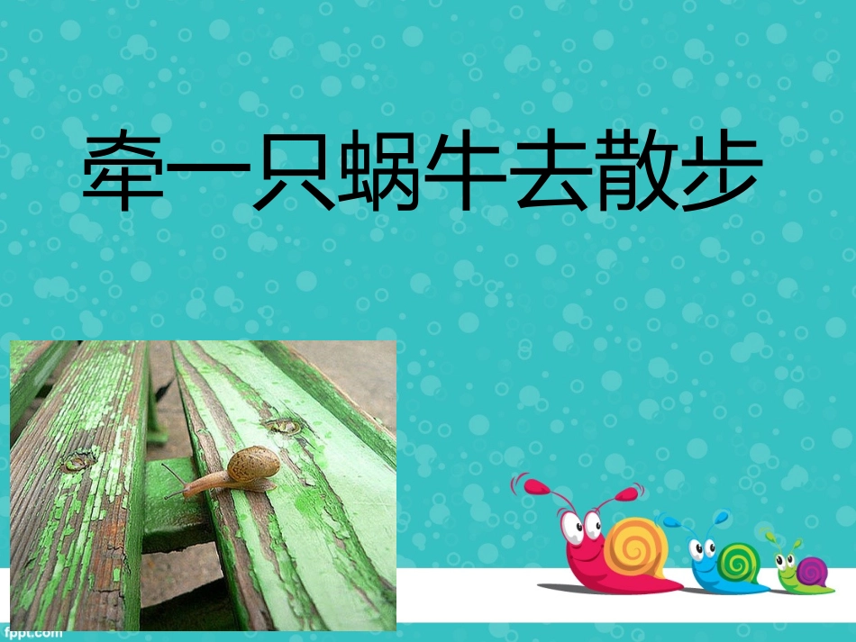 牵一只蜗牛去散步_第1页