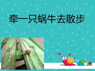 牵一只蜗牛去散步