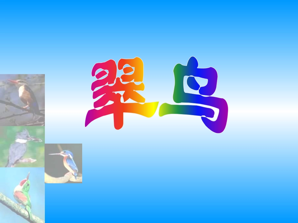 人教版三年级语文翠鸟_第1页