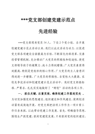 XX党支部创建党建示范点经验交流材料