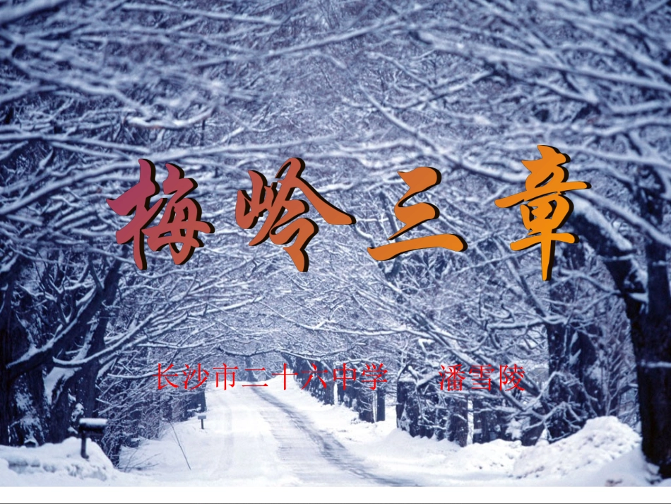 七年级语文下册 《梅岭三章》课件_第2页