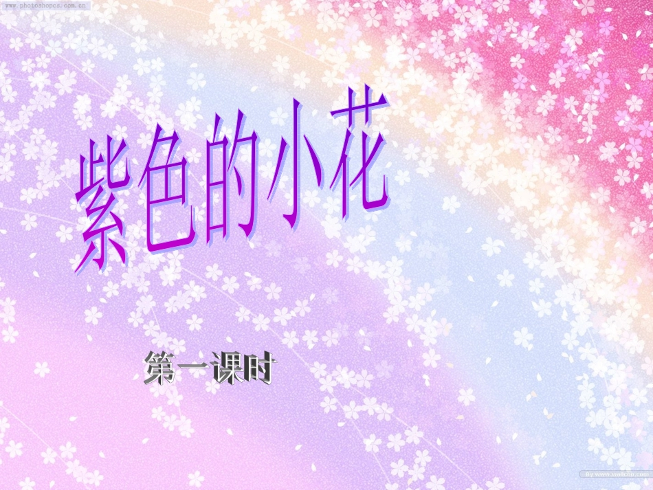 紫色的小花 (3)_第1页