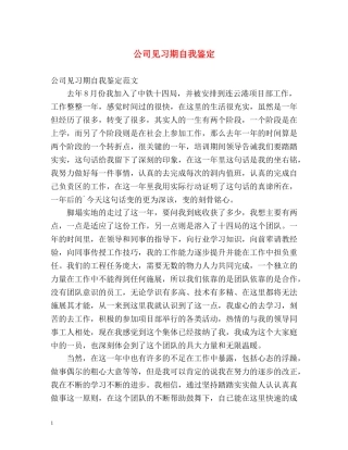 公司见习期自我鉴定 