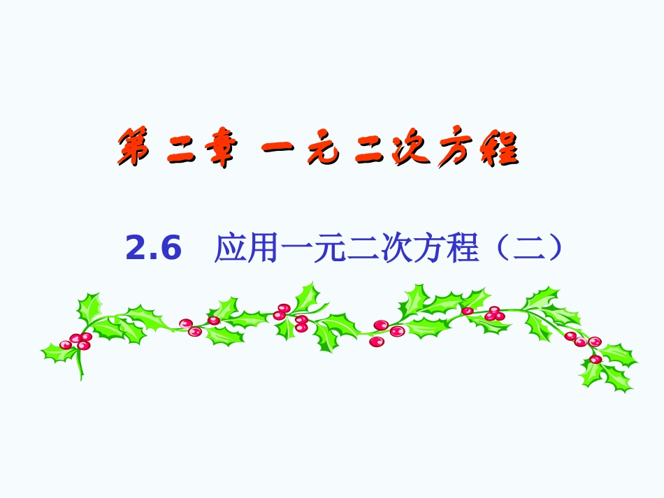 一元二次方程应用题_第1页