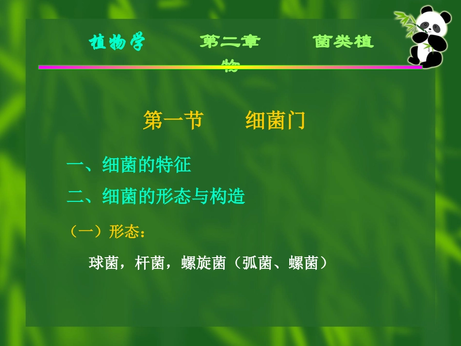 菌类植物为不具光合作用色素的异养的低等植物。分为三个门：细菌门_第3页