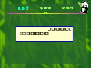 菌类植物为不具光合作用色素的异养的低等植物。分为三个门：细菌门