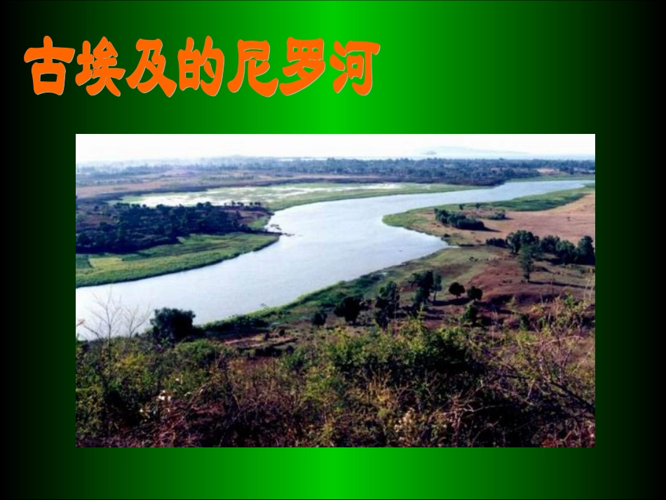 我们共同的祖先_第2页