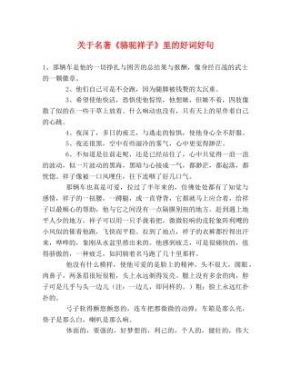 关于名著《骆驼祥子》里的好词好句 
