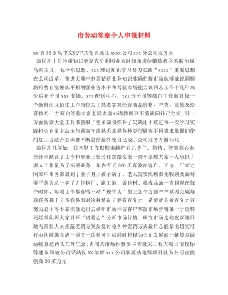 市劳动奖章个人申报材料 