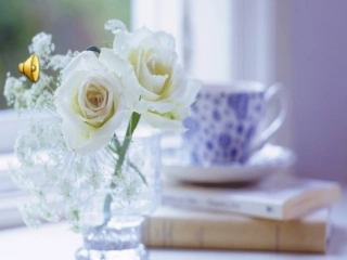 准备上的公开课