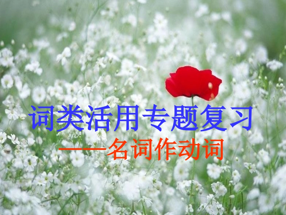 名词活用为动词_第1页