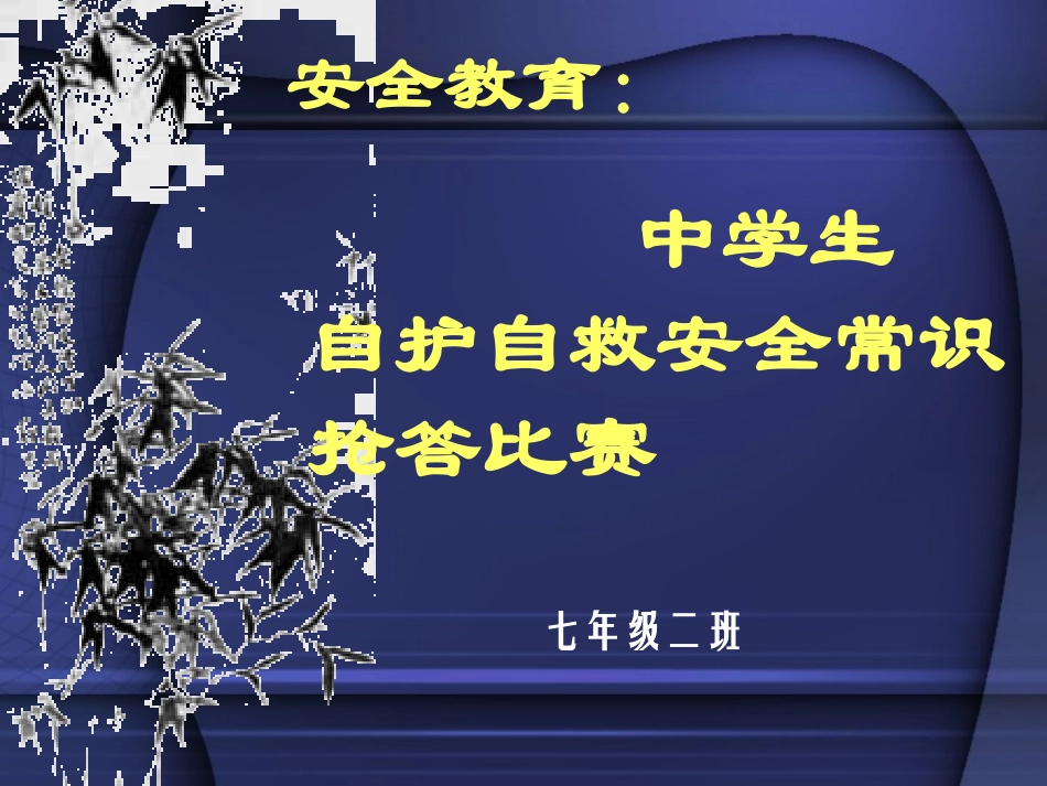 七年级二班中学生安全教育_第1页