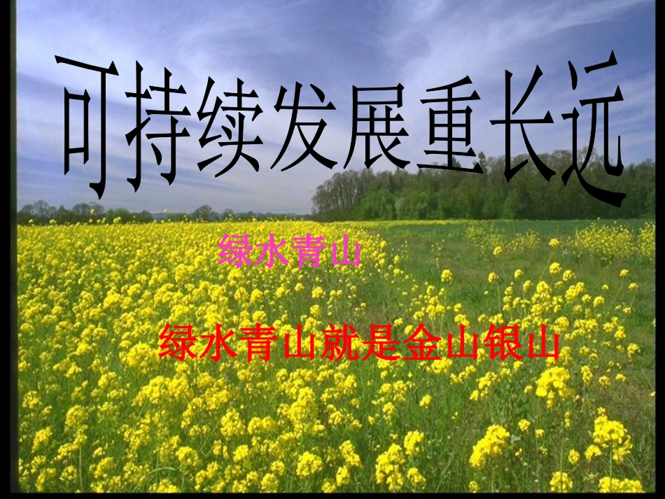 可持续发展--我们面临的重要课题_第1页