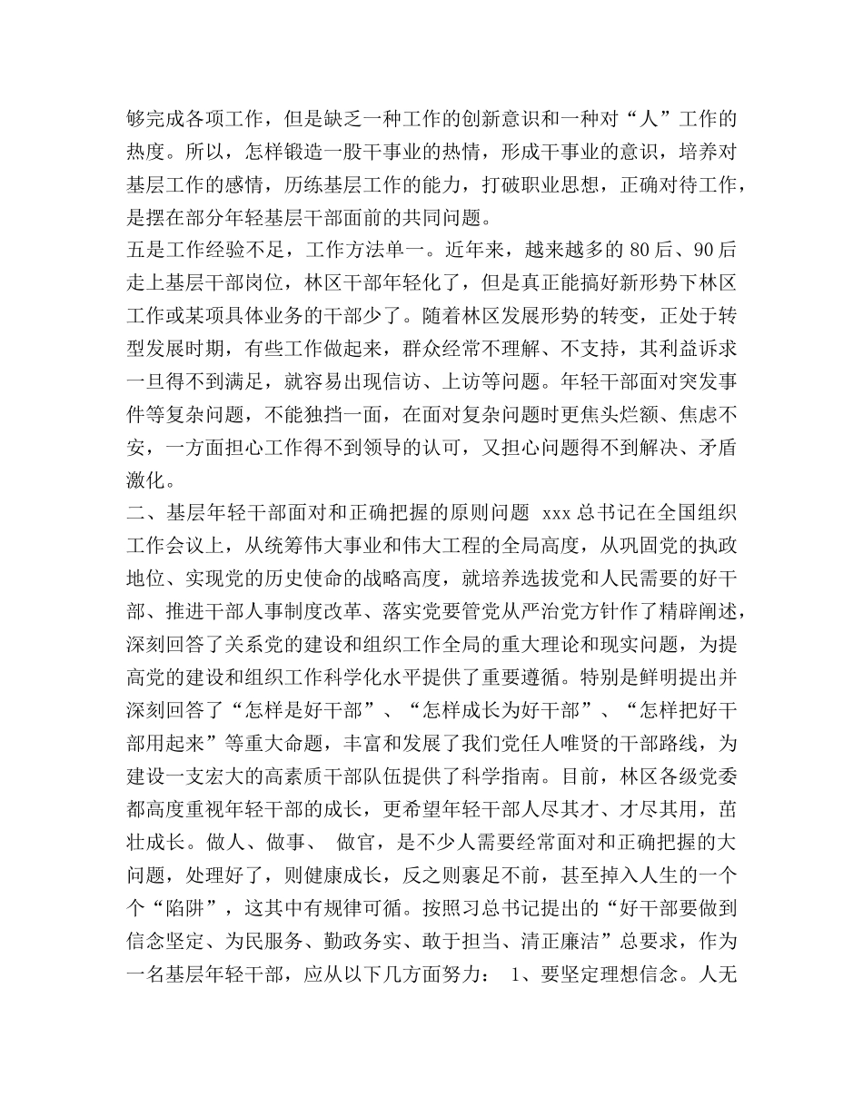 节日讲话---民族地区忠诚干净担当的高素质干部队伍建设经验做法-高素质队伍 _第3页