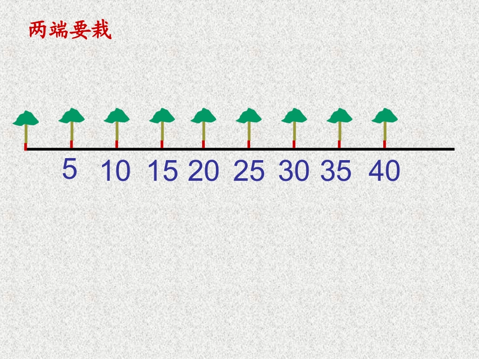 植树问题—课件_第3页