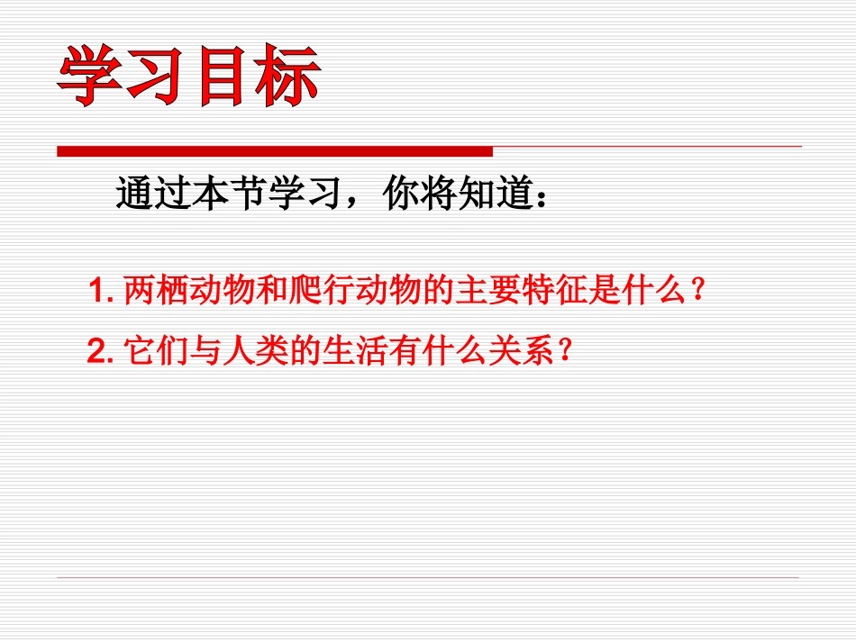 两栖动物和爬行动物课件_第3页