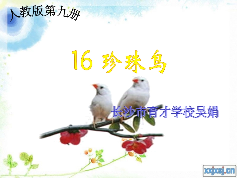 珍珠鸟 (3)_第1页