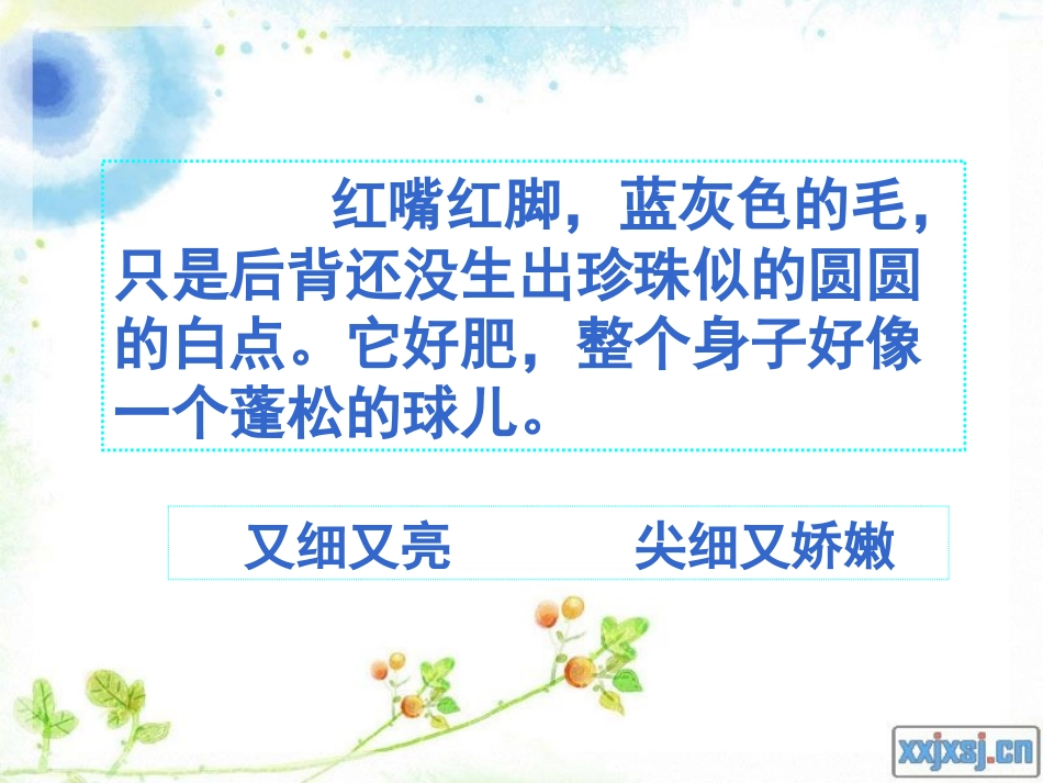 珍珠鸟 (3)_第3页