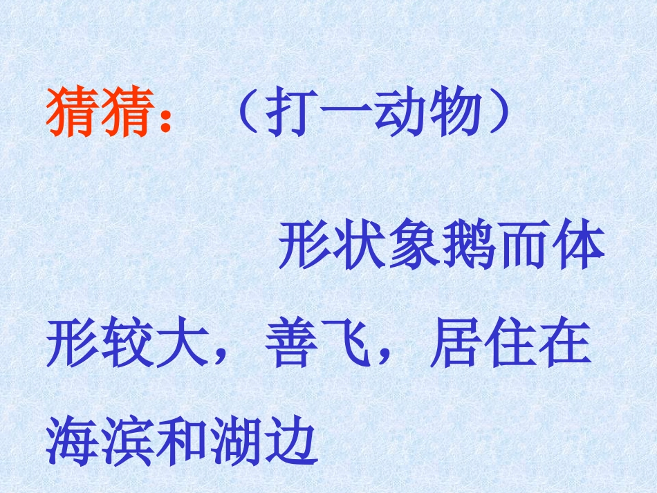 小学音乐天鹅_第1页