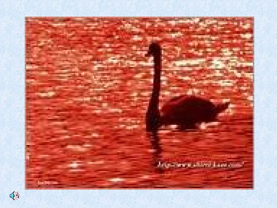 小学音乐天鹅_第3页