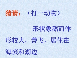 小学音乐天鹅